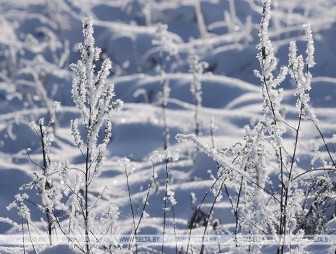 Снег и до -14°С ожидается в Беларуси 25 декабря