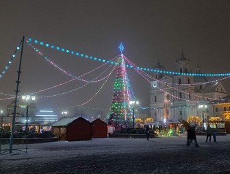 Пришло время выбрать, 'Чья ёлочка краше'. Открытое голосование за лучшую новогоднюю красавицу региона стартовало