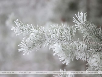 До -17°С ожидается в Беларуси 29 декабря