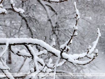 Снег и до -18°С ожидается в Беларуси 30 декабря