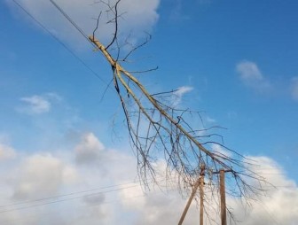 Энергетики Гродненщины продолжают восстанавливать электроснабжение населённых пунктов, нарушенное из-за шквалистого ветра