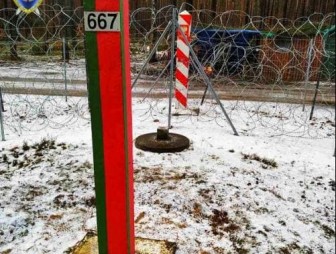 На белоруско-польской границе поврежден Государственный герб: возбуждено уголовное дело