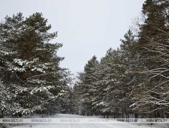 Снег и гололедица ожидаются в Беларуси 3 февраля