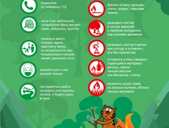 Как не заблудиться в лесу, рассказывают спасатели Мостовского РОЧС