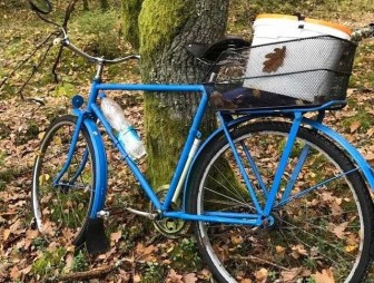 В Мостовском районе мужчина украл грибы и велосипед у собутыльника. Подозреваемый намеревался продать грибы, чтобы купить ещё выпить.