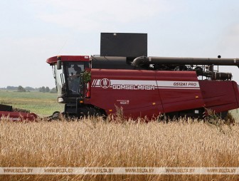 Белорусские аграрии намолотили более 3,5 млн тонн зерна