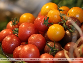 Лукашенко поручил помочь сельхозпроизводителям из регионов в продажах своей продукции в Минске