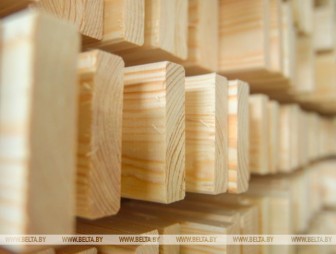 В Минлесхозе пояснили новый порядок реализации деловой древесины