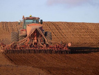 В Беларуси посеяно более 1 млн га озимых зерновых