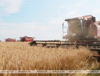 Они на страже продовольственной безопасности: труженикам АПК посвящается