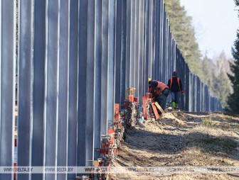 Худык: строительство забора в Беловежской пуще - политизированный проект