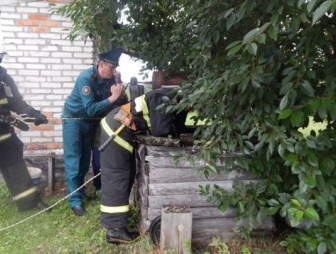 В Калинковичском районе спасатели помогли пожилой женщине, упавшей в 8-метровый колодец