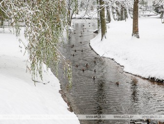 Ночные морозы до -15°С, снег и гололедица. Как начнется зима в Беларуси