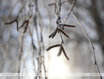 Мокрый снег, туман и гололед обещают синоптики на этой неделе