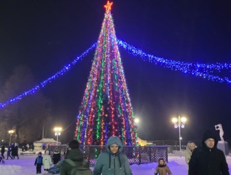 Новогодний автопробег, огненное шоу и музыкальный марафон. Как в Мостах зажигали огни на главной ёлке