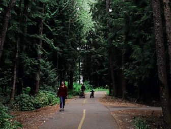 Регулярные прогулки в парке могут заменить некоторые лекарства, установили ученые