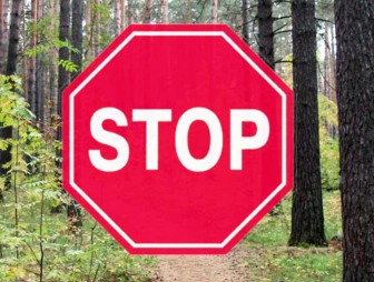 Мостовский районный отдел МЧС напоминает: введено ограничение на посещение лесов