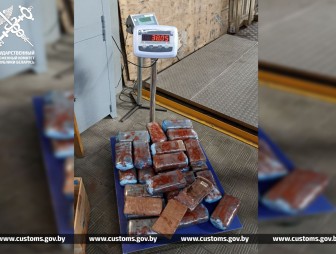 В баке легковушки, ввозимой в качестве товара на территорию ЕАЭС из Литвы, спрятали более 38 кг гашиша