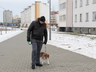 Об определении места для выгула собак на территории города Мосты