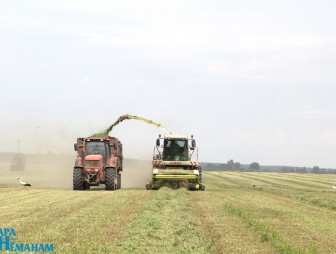 ЗАО «Гудевичи» и ОАО «Черлёна» первыми на Мостовщине завершили первый укос трав