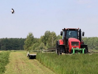 В Беларуси травы первого укоса скошены на более чем 1 млн га 8:56 11 июня 2024