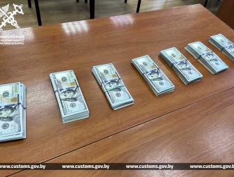 Попытка незаконно переместить через таможенную границу крупную сумму денежных средств обернулась для белоруса уголовным делом