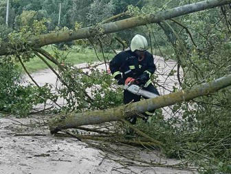 Из-за непогоды в 67 населенных пунктах Гродненской области нарушалось электроснабжение