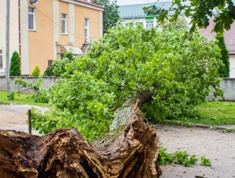 Как укрощали стихию на Мостовщине