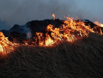 Наводим порядок безопасно! Мостовский РОЧС напоминает о правилах пала сухой травы и мусора