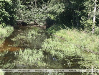 Спад уровня воды наблюдается на реках Беларуси