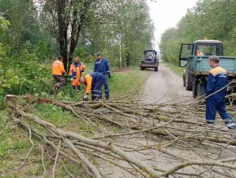 Осень – время наведения порядка. На субботнике трудились жители Песковского, Лунненского и Дубненского сельсоветов