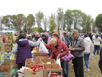 В Мостах прошла вторая осенняя ярмарка сельхозпродукции