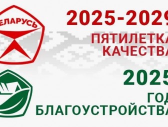 Об объявлении 2025 года Годом благоустройства