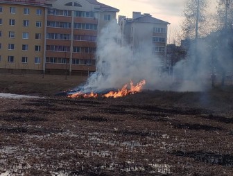 В Мостовском районе в феврале и марте текущего года зарегистрировано 16 загораний сухой растительности на общей площади 2,105 га.