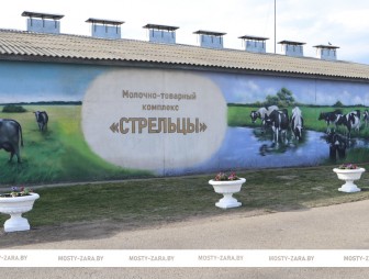 Узнайте, с какими итогами сработала отрасль животноводства Мостовского района