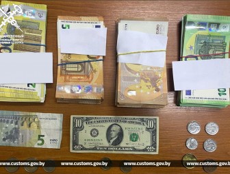 Гражданка России разделила на части 32 тыс. евро в надежде сокрыть всю сумму от таможенного контроля. Таможенники вычислили эту схему