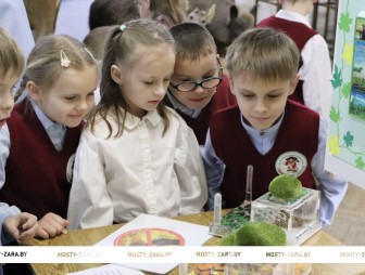 Увидеть, понаблюдать, потрогать и «оживить» музейные экспонаты – увлекательный интерактив предлагает мостовчанам музей «Лес и человек»