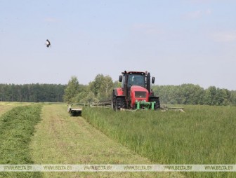Все районы Гродненской области приступили к заготовке кормов