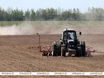 В Беларуси завершили сев яровых и кукурузы