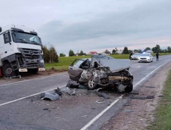 В ДТП в Вороновском районе погиб годовалый ребенок