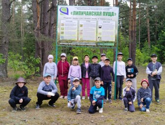 Любить природу – значит любить родину