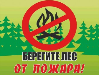 Берегите лес от пожара!