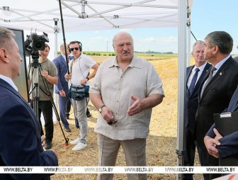 Лукашенко об уборочной кампании: надо ускоряться, чего бы ни стоило
