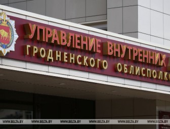 Какие нарушения выявили во время рейдов в хозяйствах Гродненской области, рассказали в милиции