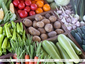 Какую сельхозпродукцию и по каким ценам принимают у населения, рассказали в Белкоопсоюзе