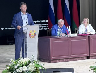 Владимир Москаленко, координатор Ассоциации молодёжных парламентов при законодательных органах государственной власти субъектов Российской Федерации Приволжского федерального округа: