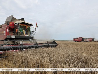 Белорусские аграрии намолотили 7 млн тонн зерна