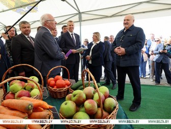 Лукашенко обещает поддержку фермерам