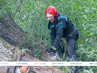 Предотвратили ЧС: силами мостовских спасателей и добровольцев в Лунно убрали аварийные деревья