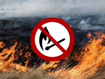Не допускайте палов!